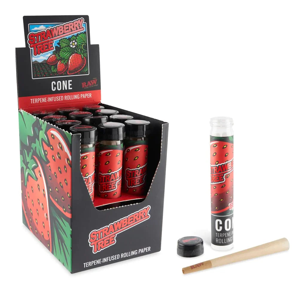 RAW x Orchard Beach | Strawberry Tree Terpene Infused Pre-Rolled Cone | King Size | 12 Pack Box