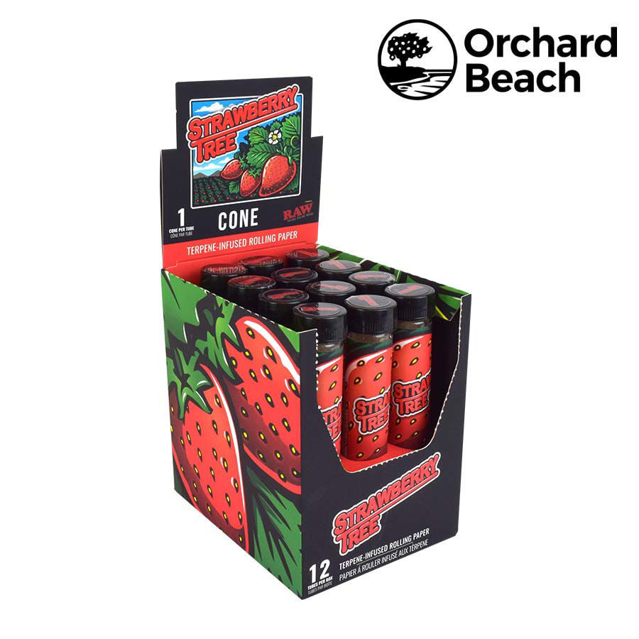 RAW x Orchard Beach | Strawberry Tree Terpene Infused Pre-Rolled Cone | King Size | 12 Pack Box